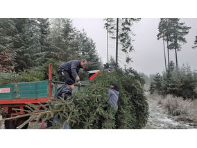 Es weihnachtet in St. Crescentius (Foto: Karl-Franz Thiede)